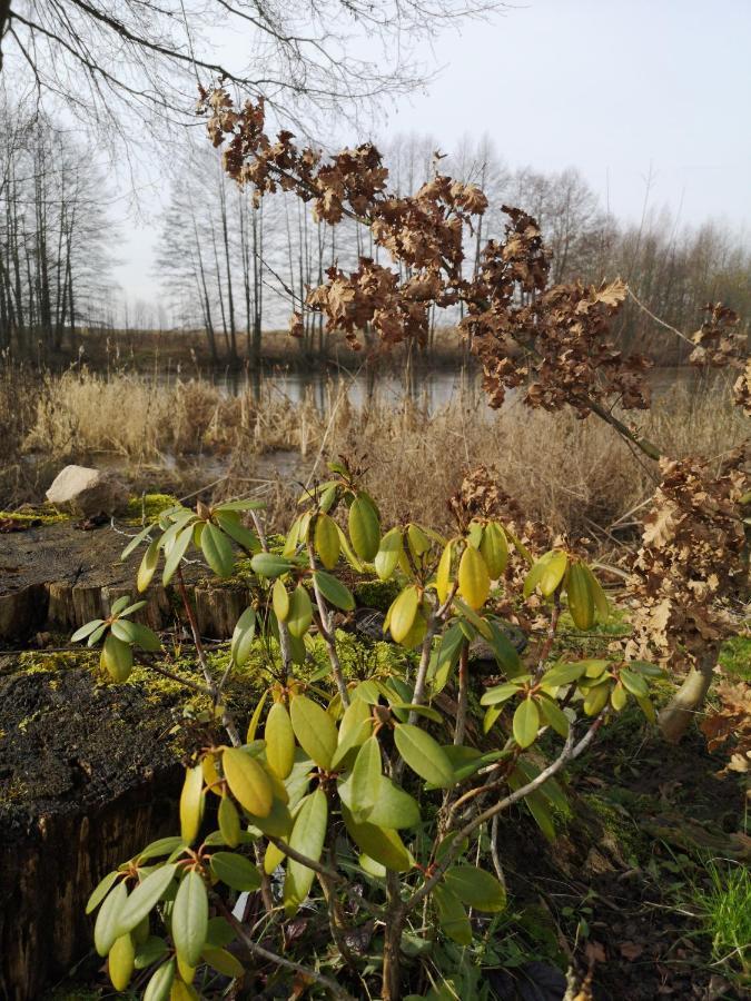 Mazurski Staw Gołdap Esterno foto